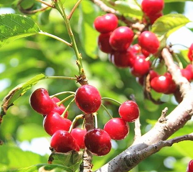 十大外围足球平台app