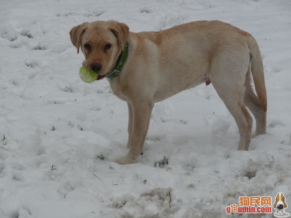十大外围足球平台app:环境时评丨板子打下去 责任担起来(中国环境报)(图1) 十大外围足球平台app