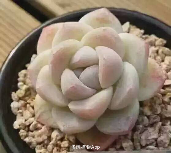 十大外围足球平台app-中央生态环保督察组组长要求解群众所忧,急群众所急(图3) 十大外围足球平台app