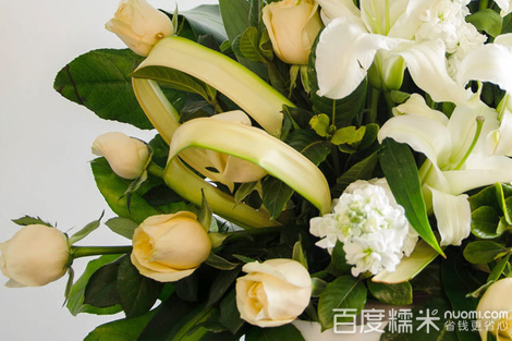 十大外围足球平台app_珍爱地球,掩护情况(图2) 十大外围足球平台app