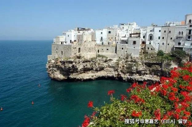 “十大外围足球平台app”意大利巴里理工（四大理工院校硬核网申教程)第四弹(图17)